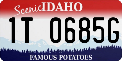 ID license plate 1T0685G