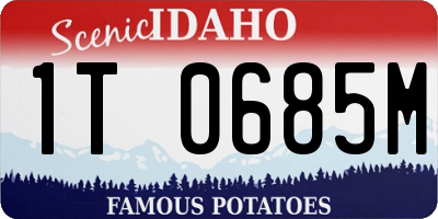 ID license plate 1T0685M