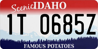 ID license plate 1T0685Z