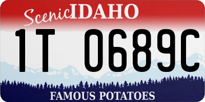 ID license plate 1T0689C