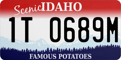 ID license plate 1T0689M