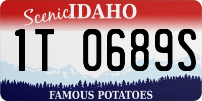 ID license plate 1T0689S