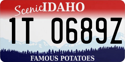 ID license plate 1T0689Z