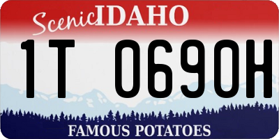 ID license plate 1T0690H