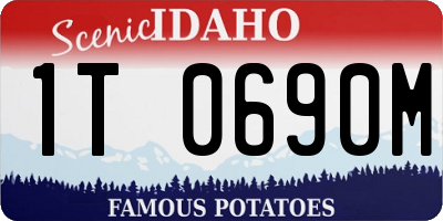 ID license plate 1T0690M