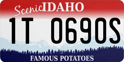ID license plate 1T0690S