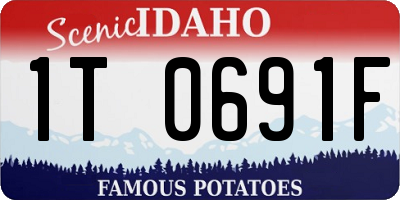 ID license plate 1T0691F