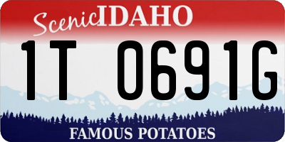 ID license plate 1T0691G