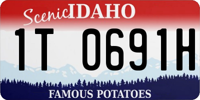 ID license plate 1T0691H