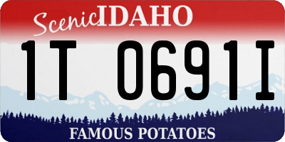 ID license plate 1T0691I