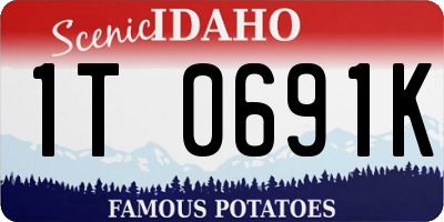 ID license plate 1T0691K