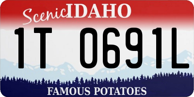 ID license plate 1T0691L