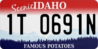 ID license plate 1T0691N