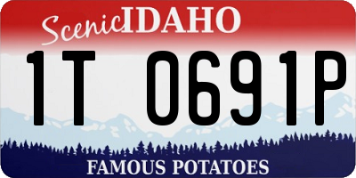 ID license plate 1T0691P