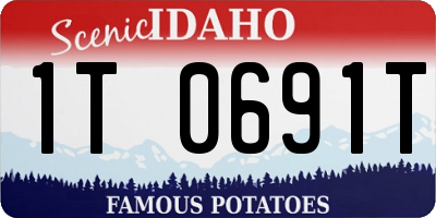 ID license plate 1T0691T