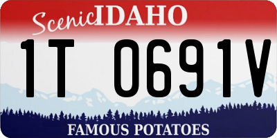 ID license plate 1T0691V