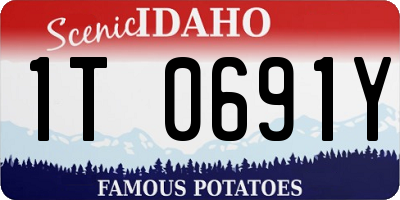 ID license plate 1T0691Y