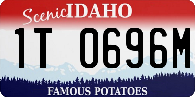 ID license plate 1T0696M