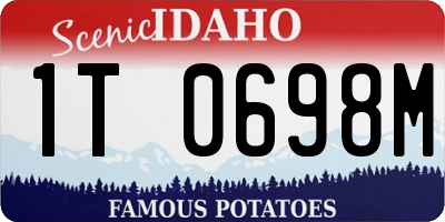 ID license plate 1T0698M