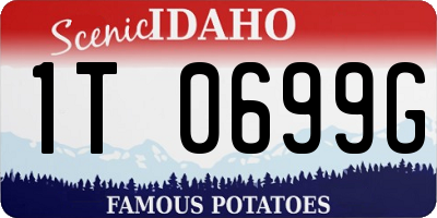 ID license plate 1T0699G