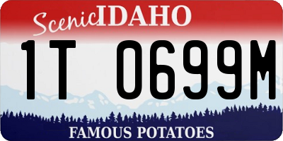 ID license plate 1T0699M