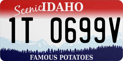 ID license plate 1T0699V