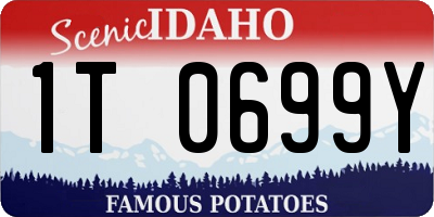 ID license plate 1T0699Y