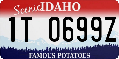 ID license plate 1T0699Z
