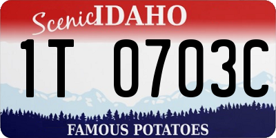ID license plate 1T0703C