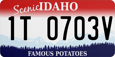 ID license plate 1T0703V