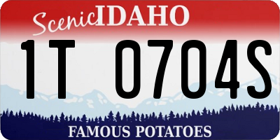 ID license plate 1T0704S