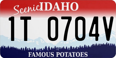 ID license plate 1T0704V