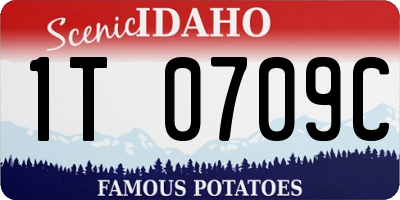 ID license plate 1T0709C