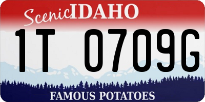ID license plate 1T0709G