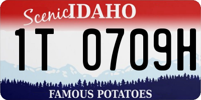 ID license plate 1T0709H