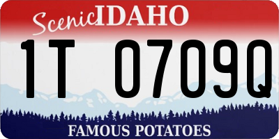 ID license plate 1T0709Q