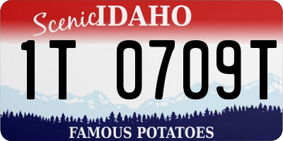 ID license plate 1T0709T