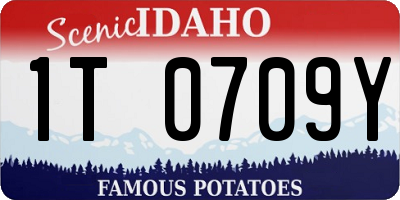 ID license plate 1T0709Y