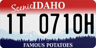 ID license plate 1T0710H