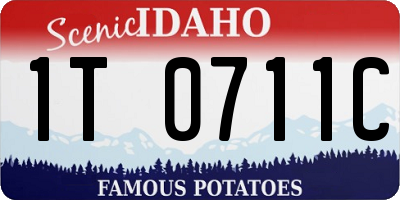 ID license plate 1T0711C