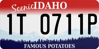 ID license plate 1T0711P
