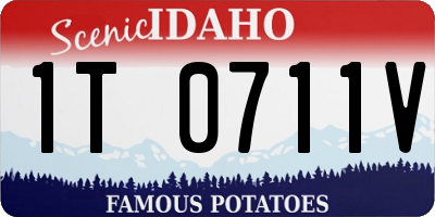 ID license plate 1T0711V