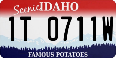 ID license plate 1T0711W