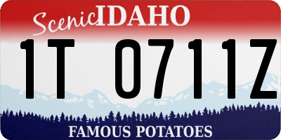 ID license plate 1T0711Z