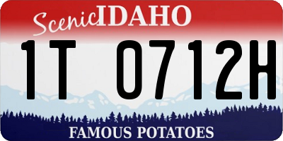 ID license plate 1T0712H