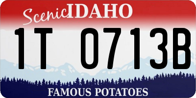 ID license plate 1T0713B