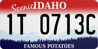 ID license plate 1T0713C