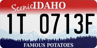 ID license plate 1T0713F