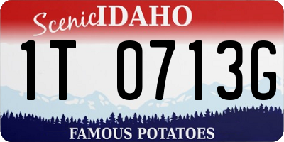 ID license plate 1T0713G