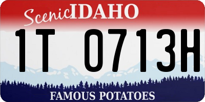 ID license plate 1T0713H
